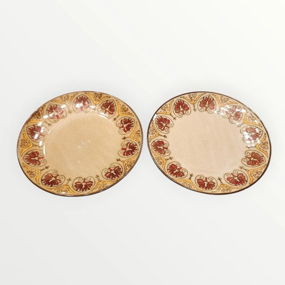 Pier 1 Imports Myra Dinner Plates Set of 2 Hand-Painted Stoneware